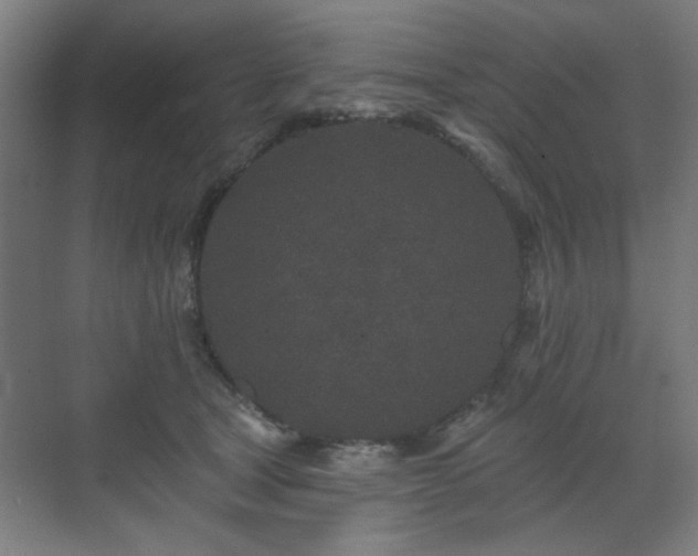 X0000071340465200606261320