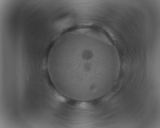 X0000071340467200606261320