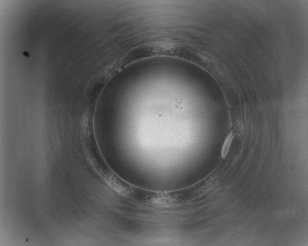 X0000071340468200606261320