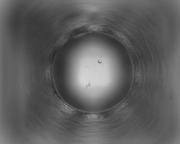 X0000071340473200606261320