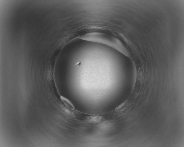 X0000071340474200606261320