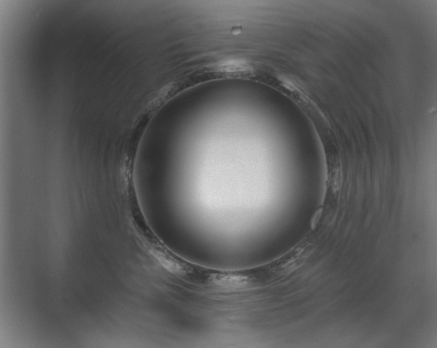 X0000071340476200606261320