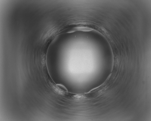 X0000071340477200606261320