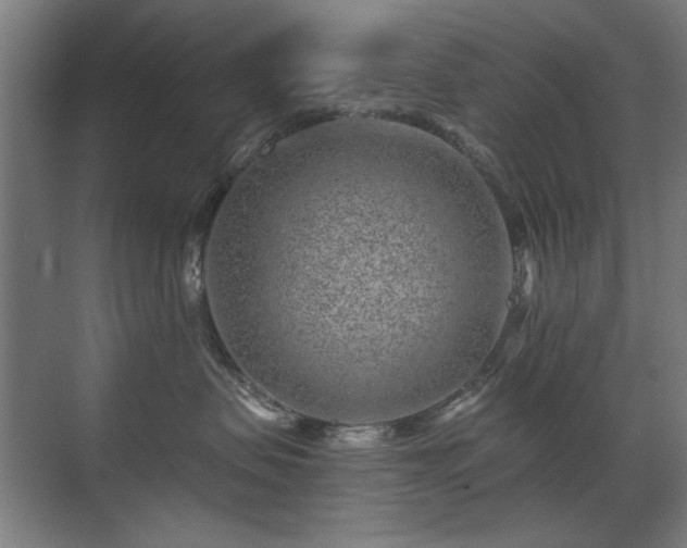 X0000071340479200606261320