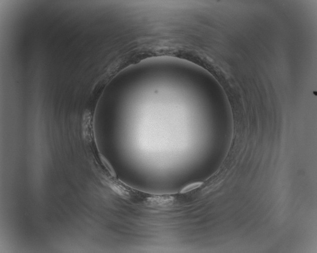 X0000071340480200606261320