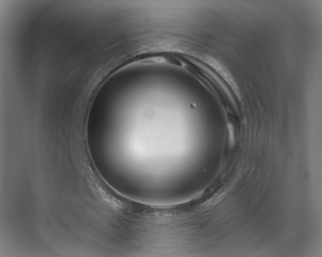 X0000071340481200606261319