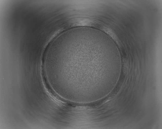 X0000071340482200606261319