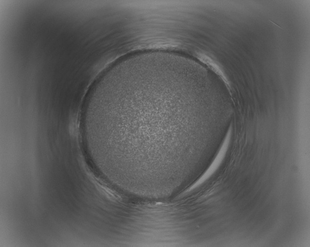 X0000071340483200606261319