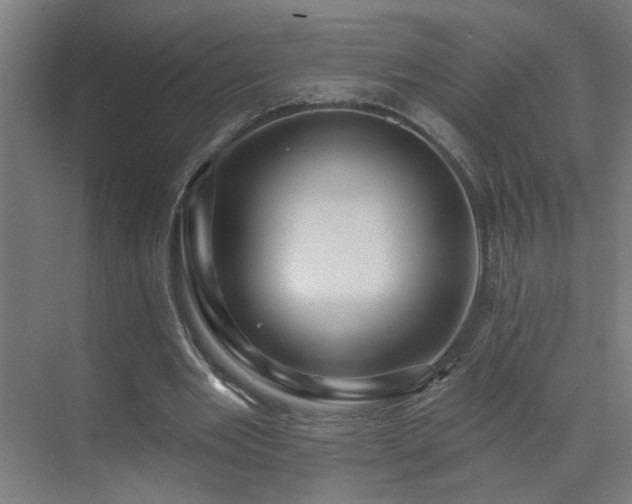 X0000071340485200606261319