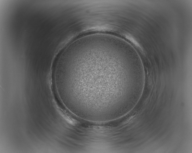 X0000071340486200606261319