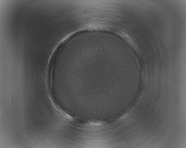 X0000071340488200606261319