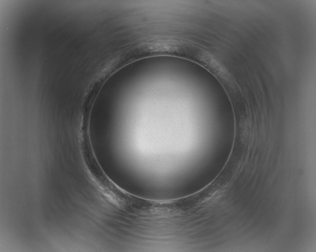 X0000071340490200606261319