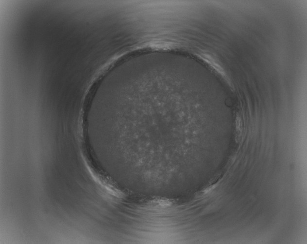 X0000071340492200606261319