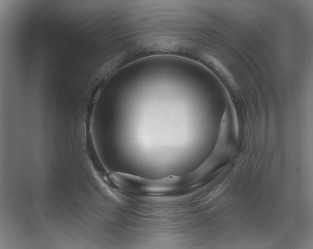 X0000071340493200606261319