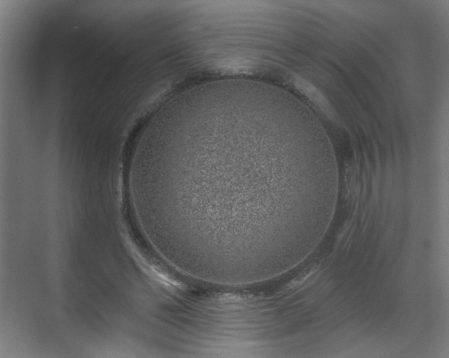 X0000071340494200606261319