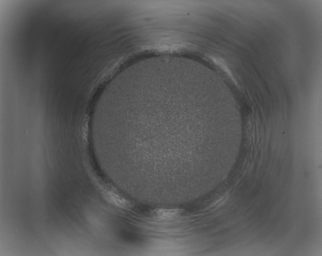 X0000071340495200606261319