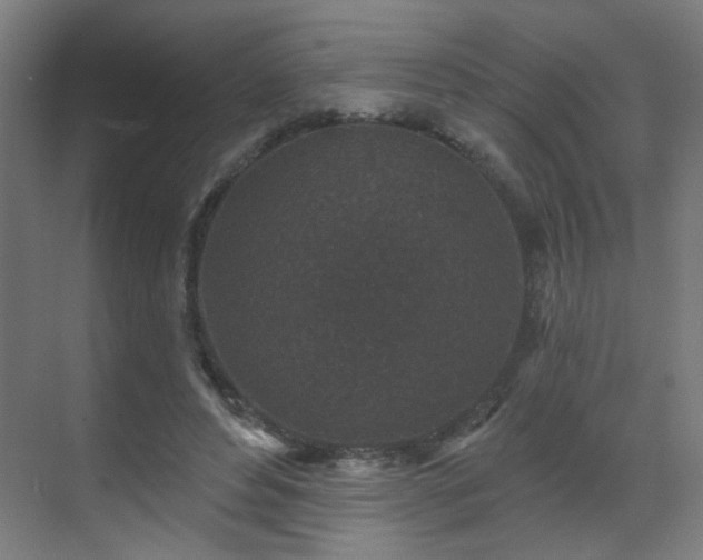 X0000071340496200606261319