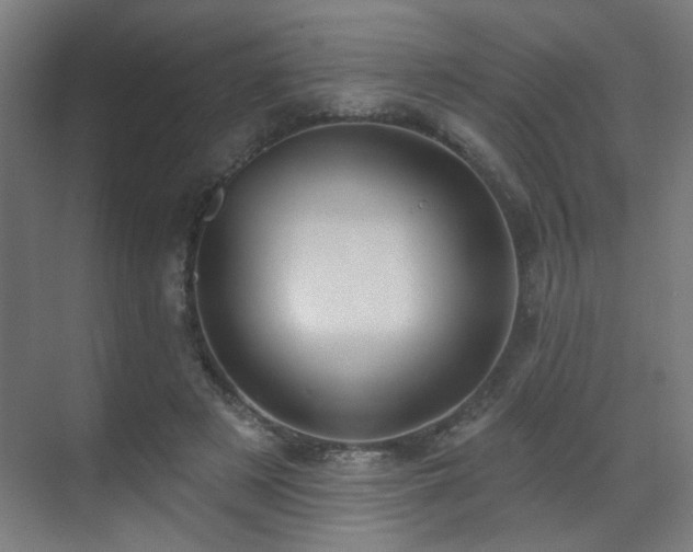 X0000071340497200606261319