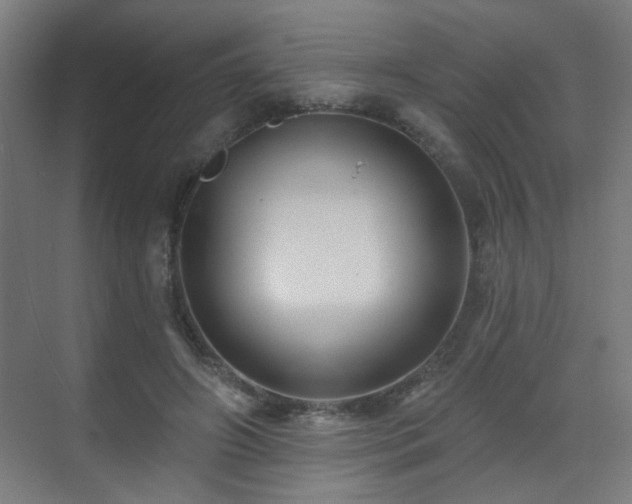 X0000071340498200606261319