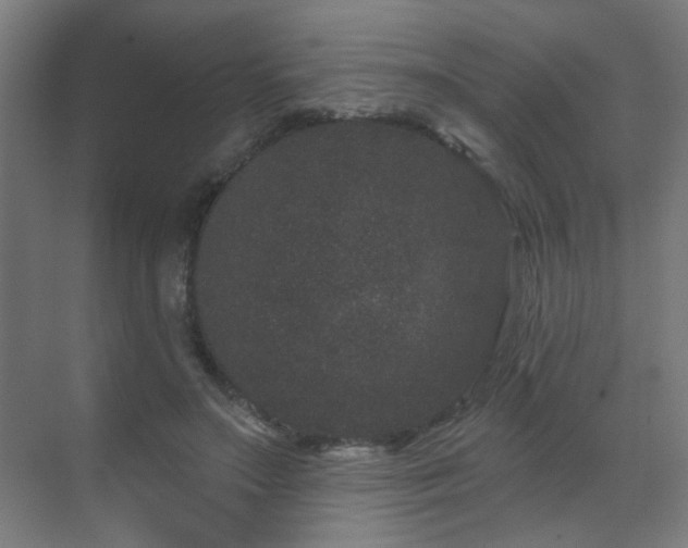 X0000071340499200606261319