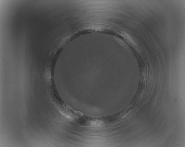 X0000071340500200606261319