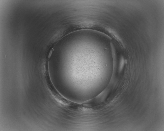 X0000071340501200606261319