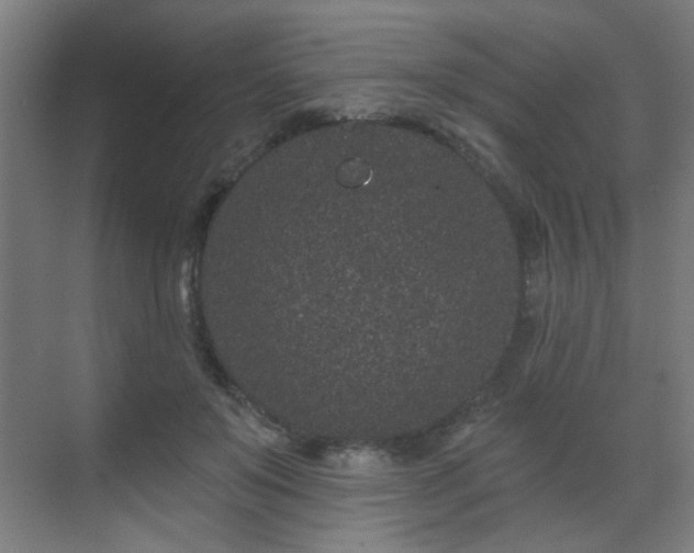 X0000071340503200606261319