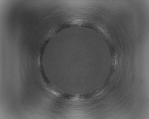 X0000071340504200606261319