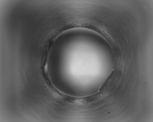 X0000071340505200606261319