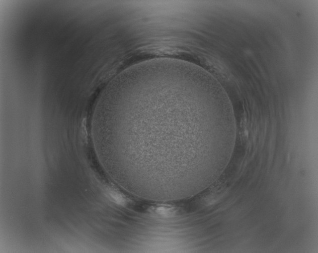 X0000071340506200606261319