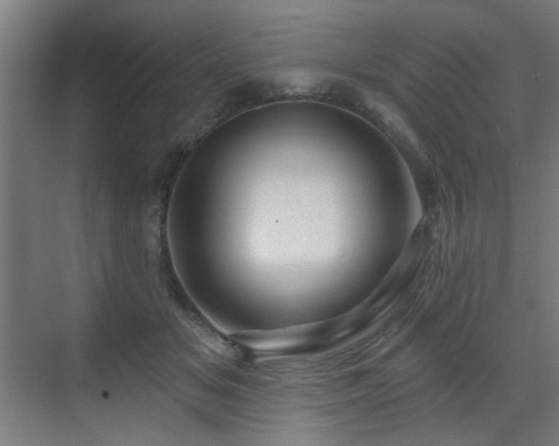 X0000071340509200606261319