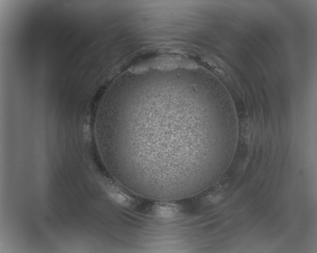 X0000071340510200606261319