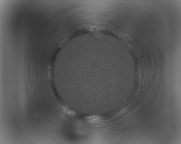 X0000071340511200606261319