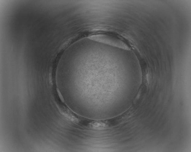 X0000071340512200606261319