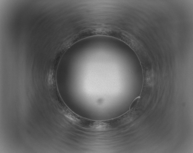 X0000071340514200606261319