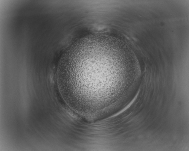 X0000071340515200606261319