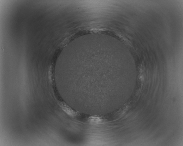 X0000071340519200606261319