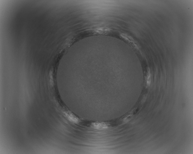 X0000071340520200606261319