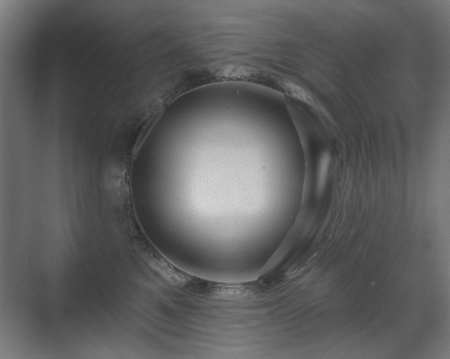 X0000071340521200606261319