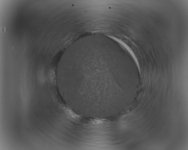 X0000071340523200606261319