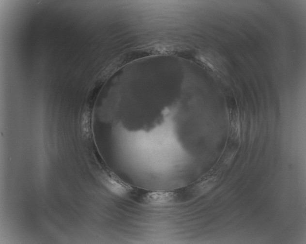 X0000071340526200606261319