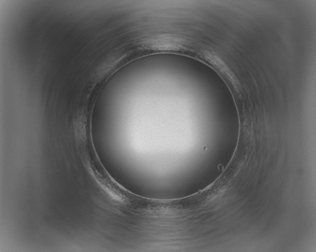 X0000071340533200606261318