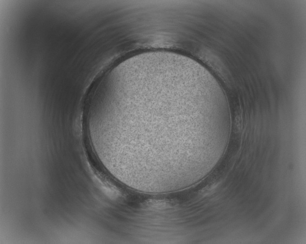 X0000071340534200606261318