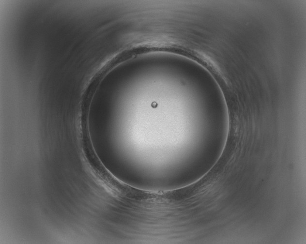 X0000071340535200606261318