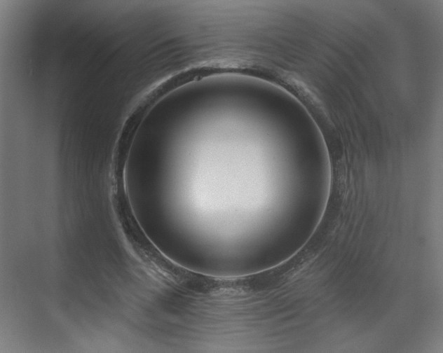 X0000071340536200606261318