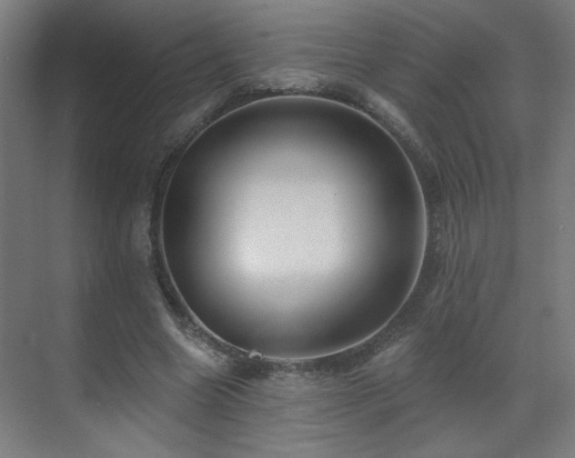 X0000071340538200606261318