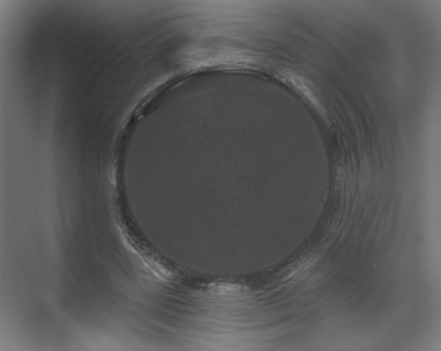 X0000071340539200606261318