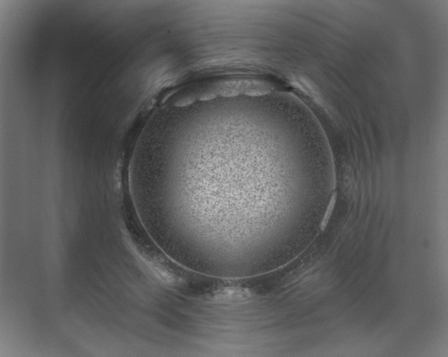 X0000071340543200606261318