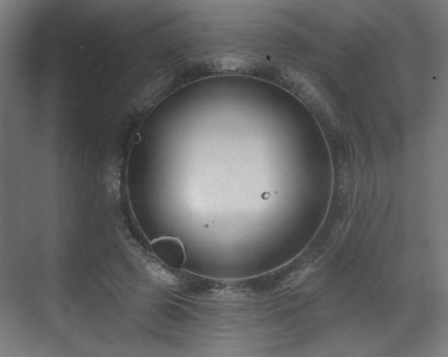 X0000071340545200606261318