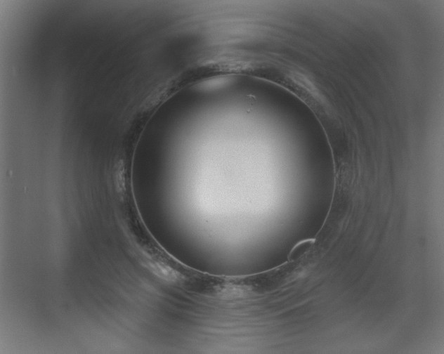 X0000071340549200606261318